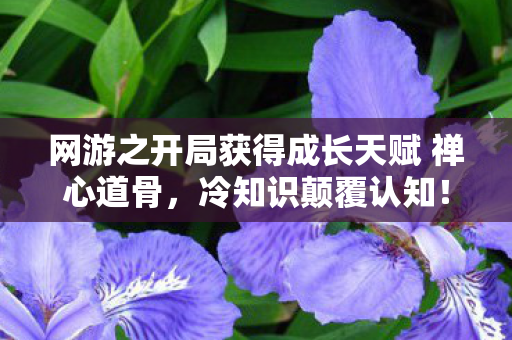 网游之开局获得成长天赋 禅心道骨，冷知识颠覆认知！十年老玩家竟被新手村彩蛋目瞪口呆
