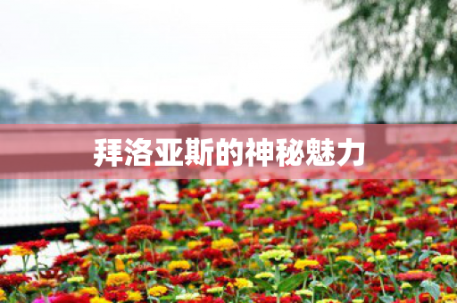 拜洛亚斯的神秘魅力图片