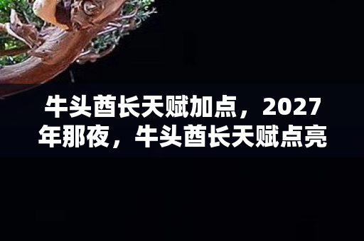 牛头酋长天赋加点，2027年那夜，牛头酋长天赋点亮时，伏笔已藏，如今想起鼻子一酸