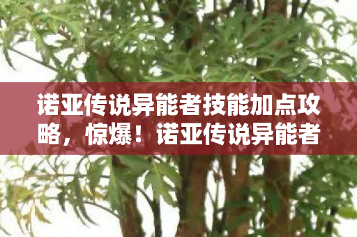 诺亚传说异能者技能加点攻略，惊爆！诺亚传说异能者技能加点竟藏着3大逆天秘密？