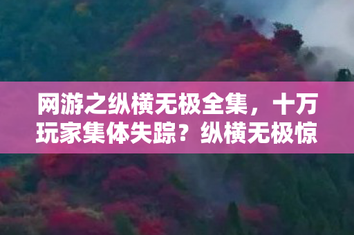 网游之纵横无极全集，十万玩家集体失踪？纵横无极惊现数据黑洞引全服破防