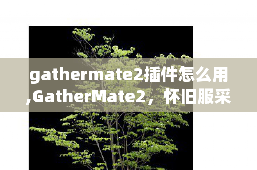 gathermate2插件怎么用,GatherMate2，怀旧服采集玩家的随身藏宝图