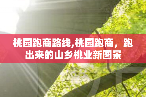 桃园跑商路线,桃园跑商，跑出来的山乡桃业新图景