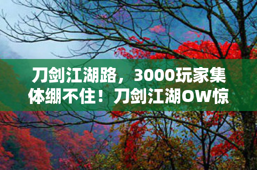 刀剑江湖路，3000玩家集体绷不住！刀剑江湖OW惊现时间裂缝疑云，策划你睡了吗？
