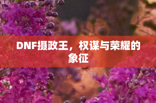 权谋与荣耀的象征图片