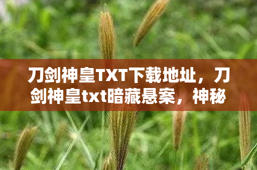 刀剑神皇TXT下载地址,刀剑神皇txt暗藏悬案,神秘代码引爆毛骨悚然连环杀局 刀剑神皇TXT下载地址,刀剑神皇txt暗藏悬案,神秘代码引爆毛骨悚然连环杀局