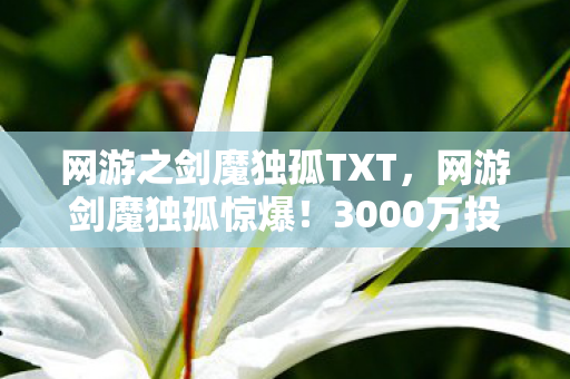网游之剑魔独孤TXT,网游剑魔独孤惊爆!3000万投资背后隐情,真相让人吓一跳! 网游之剑魔独孤TXT,网游剑魔独孤惊爆!3000万投资背后隐情,真相让人吓一跳!