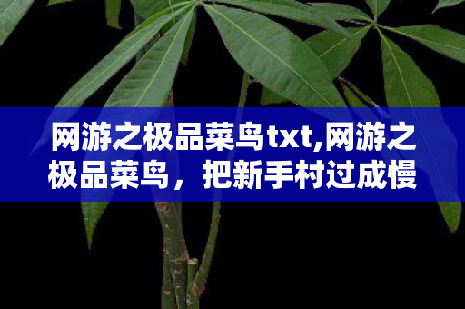 网游之极品菜鸟txt,网游之极品菜鸟，把新手村过成慢综艺的非典型玩家