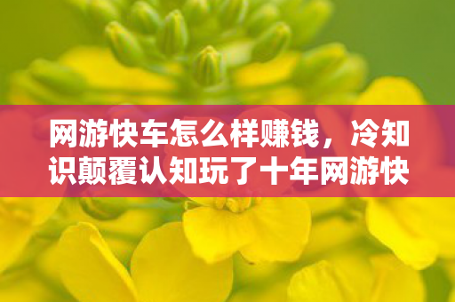 网游快车怎么样赚钱，冷知识颠覆认知玩了十年网游快车才知，我竟是目瞪口呆的离线玩家！