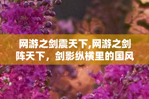 网游之剑震天下,网游之剑阵天下,剑影纵横里的国风浪漫 网游之剑震天下,网游之剑阵天下,剑影纵横里的国风浪漫