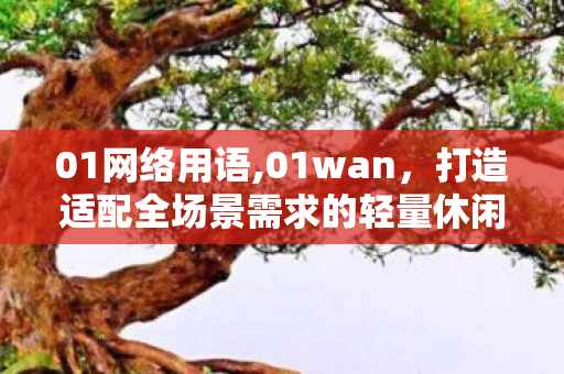 01网络用语,01wan，打造适配全场景需求的轻量休闲游戏趣味阵地