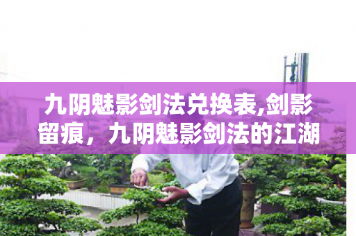 九阴魅影剑法兑换表,剑影留痕,九阴魅影剑法的江湖旧话 九阴魅影剑法兑换表,剑影留痕,九阴魅影剑法的江湖旧话