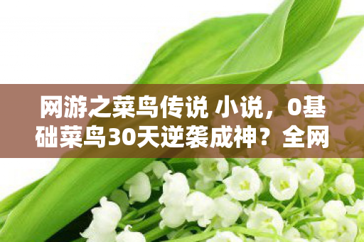 网游之菜鸟传说 小说，0基础菜鸟30天逆袭成神？全网疯传的隐藏真相让人破防！