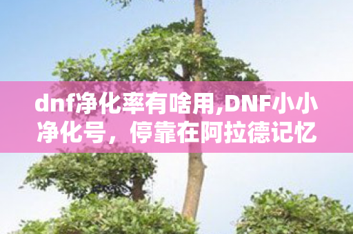dnf净化率有啥用,DNF小小净化号，停靠在阿拉德记忆里的温柔小航船