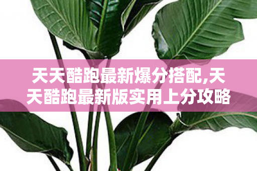 天天酷跑最新爆分搭配,天天酷跑最新版实用上分攻略 轻松跑出亮眼新战绩 天天酷跑最新爆分搭配,天天酷跑最新版实用上分攻略 轻松跑出亮眼新战绩