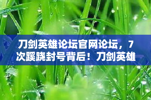 刀剑英雄论坛官网论坛,7次蹊跷封号背后!刀剑英雄论坛惊现后背发凉的真相 刀剑英雄论坛官网论坛,7次蹊跷封号背后!刀剑英雄论坛惊现后背发凉的真相