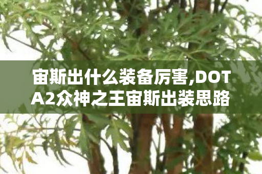 宙斯出什么装备厉害,DOTA2众神之王宙斯出装思路全解析,从对线到后期的最优选择 宙斯出什么装备厉害,DOTA2众神之王宙斯出装思路全解析,从对线到后期的最优选择