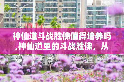 神仙道斗战胜佛值得培养吗,神仙道里的斗战胜佛，从石猴到战佛的热血同行路