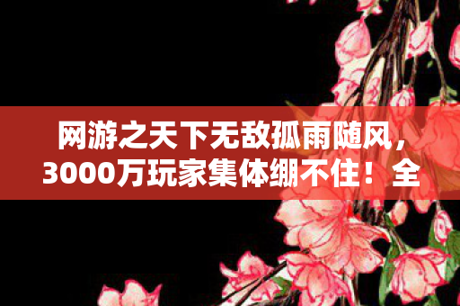网游之天下无敌孤雨随风,3000万玩家集体绷不住!全服第一竟用脚本?网吧实录炸出惊天疑点 网游之天下无敌孤雨随风,3000万玩家集体绷不住!全服第一竟用脚本?网吧实录炸出惊天疑点