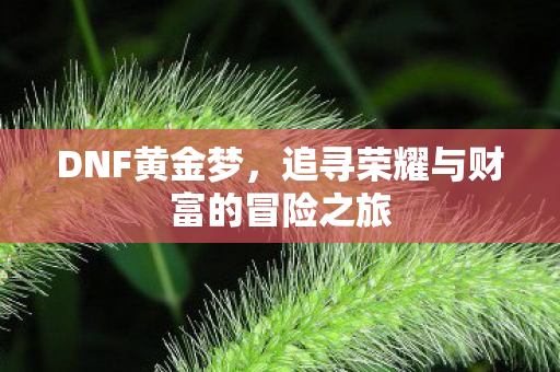 追寻荣耀与财富的冒险之旅图片