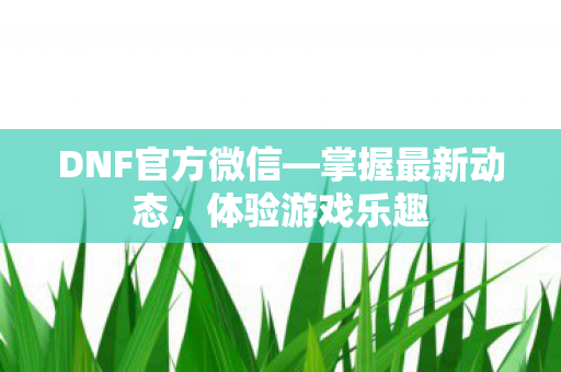 DNF官方微信图片