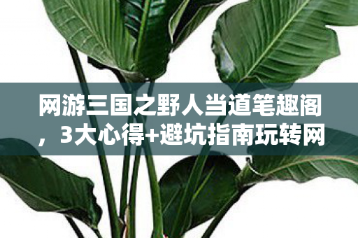网游三国之野人当道笔趣阁,3大心得+避坑指南玩转网游三国之野人当道,新手必看! 网游三国之野人当道笔趣阁,3大心得+避坑指南玩转网游三国之野人当道,新手必看!