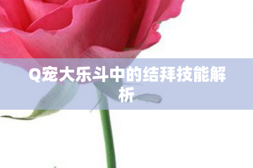 Q宠大乐斗中的结拜技能解析图片