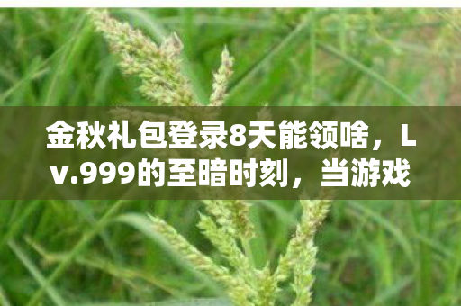 金秋礼包登录8天能领啥,Lv.999的至暗时刻,当游戏成就满级时,现实人生竟跌破新手村! 金秋礼包登录8天能领啥,Lv.999的至暗时刻,当游戏成就满级时,现实人生竟跌破新手村!