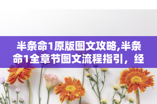 半条命1原版图文攻略,半条命1全章节图文流程指引，经典黑山冒险通关指南