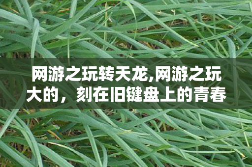 网游之玩转天龙,网游之玩大的,刻在旧键盘上的青春成长诗 网游之玩转天龙,网游之玩大的,刻在旧键盘上的青春成长诗