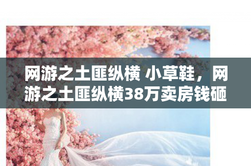 网游之土匪纵横 小草鞋，网游之土匪纵横38万卖房钱砸进游戏，老婆签完离婚协议我吓一跳！