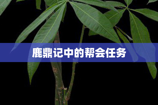 鹿鼎记中的帮会任务图片