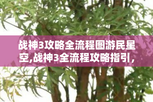 战神3攻略全流程图游民星空,战神3全流程攻略指引,覆盖全部关卡的清晰通关路线参考 战神3攻略全流程图游民星空,战神3全流程攻略指引,覆盖全部关卡的清晰通关路线参考