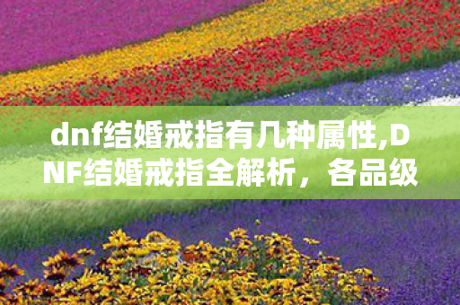 dnf结婚戒指有几种属性,DNF结婚戒指全解析,各品级属性与玩法细节一览 dnf结婚戒指有几种属性,DNF结婚戒指全解析,各品级属性与玩法细节一览