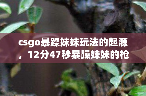 csgo暴躁妹妹玩法的起源,12分47秒暴躁妹妹的枪火人生,从开箱狂魔到泪目封枪 csgo暴躁妹妹玩法的起源,12分47秒暴躁妹妹的枪火人生,从开箱狂魔到泪目封枪