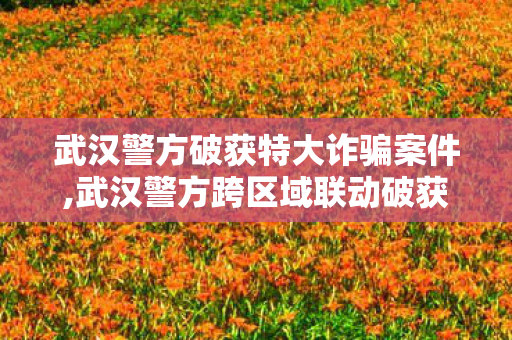 武汉警方破获特大诈骗案件,武汉警方跨区域联动破获特大诈骗案 全力追赃返款守护群众财产安全 武汉警方破获特大诈骗案件,武汉警方跨区域联动破获特大诈骗案 全力追赃返款守护群众财产安全