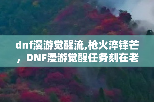 dnf漫游觉醒流,枪火淬锋芒,DNF漫游觉醒任务刻在老玩家DNA里的热血记忆 dnf漫游觉醒流,枪火淬锋芒,DNF漫游觉醒任务刻在老玩家DNA里的热血记忆
