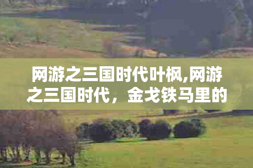 网游之三国时代叶枫,网游之三国时代,金戈铁马里的青春热血印记 网游之三国时代叶枫,网游之三国时代,金戈铁马里的青春热血印记