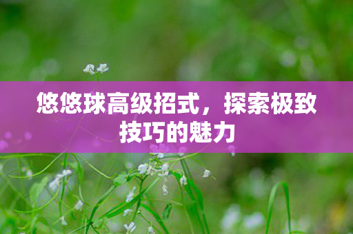 探索极致技巧的魅力图片