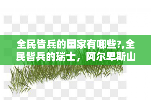 全民皆兵的国家有哪些?,全民皆兵的瑞士,阿尔卑斯山下的和平守卫者 全民皆兵的国家有哪些?,全民皆兵的瑞士,阿尔卑斯山下的和平守卫者