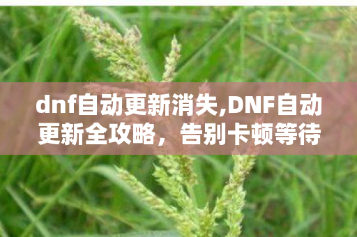 dnf自动更新消失,DNF自动更新全攻略,告别卡顿等待,快速回归阿拉德 dnf自动更新消失,DNF自动更新全攻略,告别卡顿等待,快速回归阿拉德