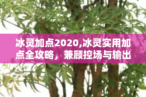 冰灵加点2020,冰灵实用加点全攻略,兼顾控场与输出的冰霜系玩法思路 冰灵加点2020,冰灵实用加点全攻略,兼顾控场与输出的冰霜系玩法思路
