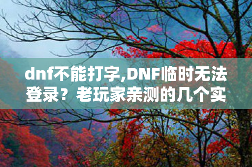 dnf不能打字,DNF临时无法登录?老玩家亲测的几个实用排查小技巧 dnf不能打字,DNF临时无法登录?老玩家亲测的几个实用排查小技巧