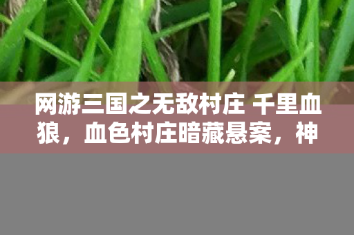 网游三国之无敌村庄 千里血狼,血色村庄暗藏悬案,神秘线索引向毛骨悚然真相 网游三国之无敌村庄 千里血狼,血色村庄暗藏悬案,神秘线索引向毛骨悚然真相