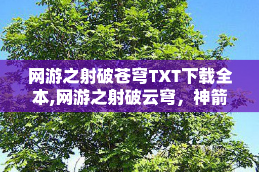 网游之射破苍穹TXT下载全本,网游之射破云穹,神箭手的逐风征途 网游之射破苍穹TXT下载全本,网游之射破云穹,神箭手的逐风征途