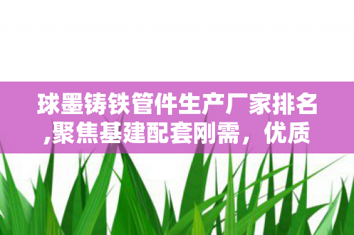 球墨铸铁管件生产厂家排名,聚焦基建配套刚需,优质球墨铸铁管件生产厂家核心价值全解析 球墨铸铁管件生产厂家排名,聚焦基建配套刚需,优质球墨铸铁管件生产厂家核心价值全解析