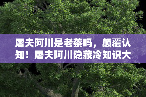 屠夫阿川是老蔡吗,颠覆认知!屠夫阿川隐藏冷知识大揭秘,让你目瞪口呆! 屠夫阿川是老蔡吗,颠覆认知!屠夫阿川隐藏冷知识大揭秘,让你目瞪口呆!