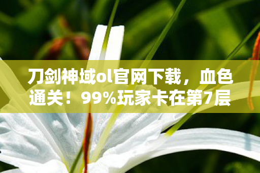 刀剑神域ol官网下载,血色通关!99%玩家卡在第7层BOSS,那个用眼泪换攻略的男人,最后竟…… 刀剑神域ol官网下载,血色通关!99%玩家卡在第7层BOSS,那个用眼泪换攻略的男人,最后竟……