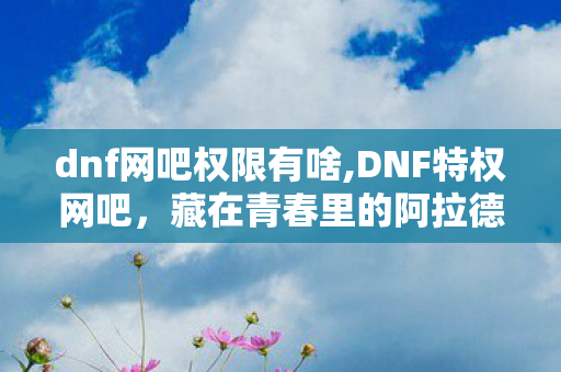 dnf网吧权限有啥,DNF特权网吧,藏在青春里的阿拉德线下小据点 dnf网吧权限有啥,DNF特权网吧,藏在青春里的阿拉德线下小据点