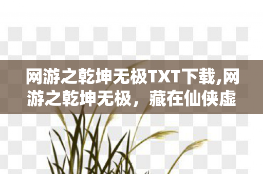网游之乾坤无极TXT下载,网游之乾坤无极,藏在仙侠虚拟世界里的滚烫青春 网游之乾坤无极TXT下载,网游之乾坤无极,藏在仙侠虚拟世界里的滚烫青春